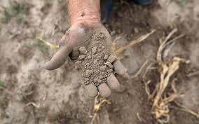 В Калифорнии объявлено ЧП из-за засухи