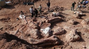 Кости гигантского динозавра были найдены в Аргентине