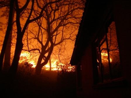 В Австралии горят леса: пожарные не справляются