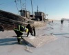 В пустыне выпал снег