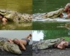 20-летняя дружба с крокодилом