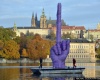 Покажи президенту "fuck"